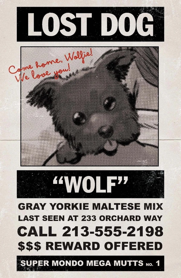 Super Mondo Mega Mutts: Juan Gedeon Lost Dog Variant #1 - Cover G